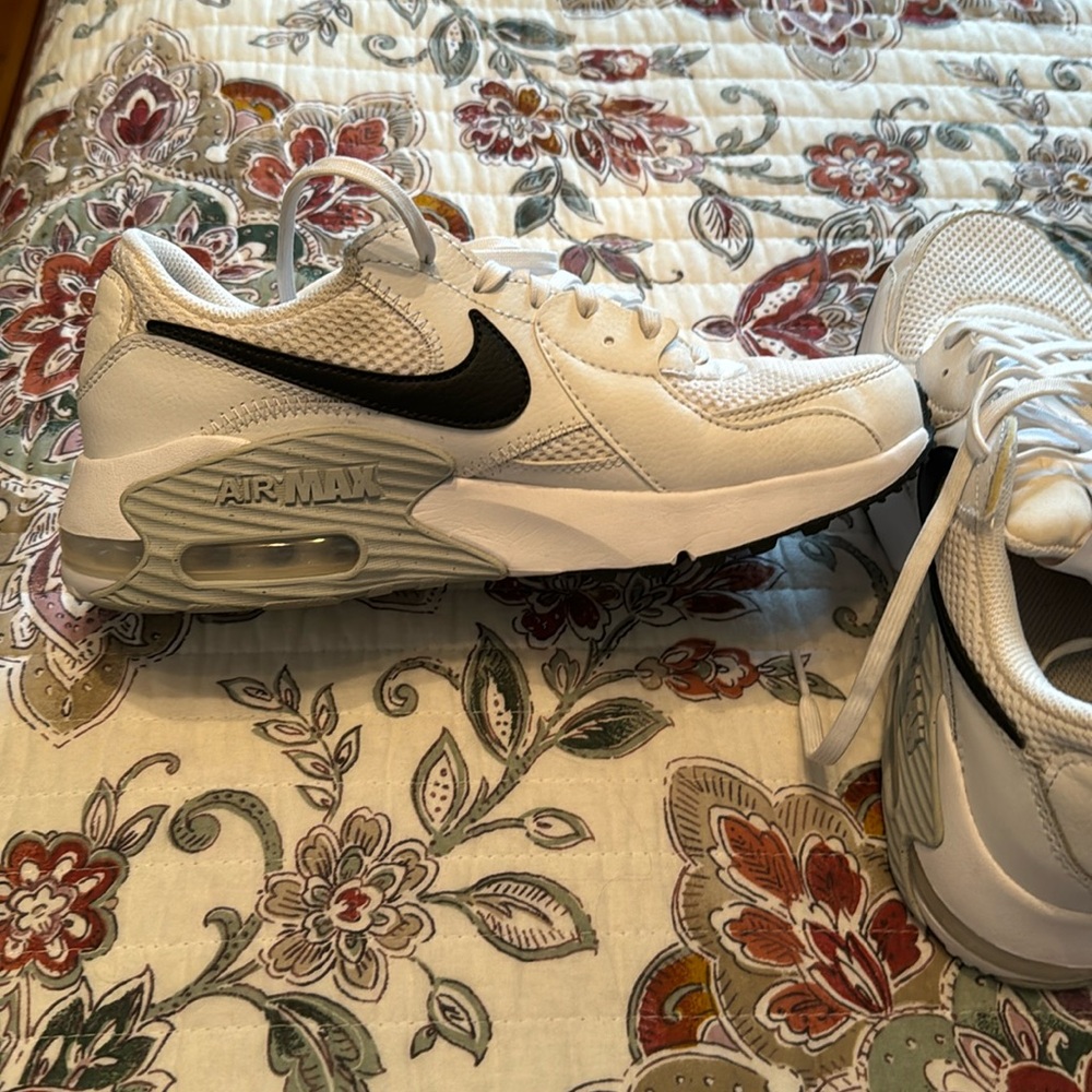 Nike Air Max shoes